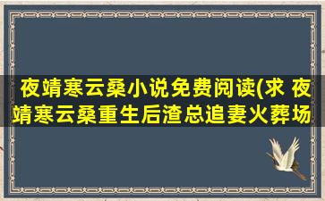 夜靖寒云桑小说免费阅读(求 夜靖寒云桑重生后渣总追妻火葬场 百度云资源,谢谢)